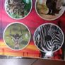 DVD collectors edition Wildlife diary 8 DVD Image 2