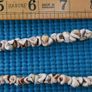 Shell Necklace Tropical Beach Fashion Jewelry Image 7