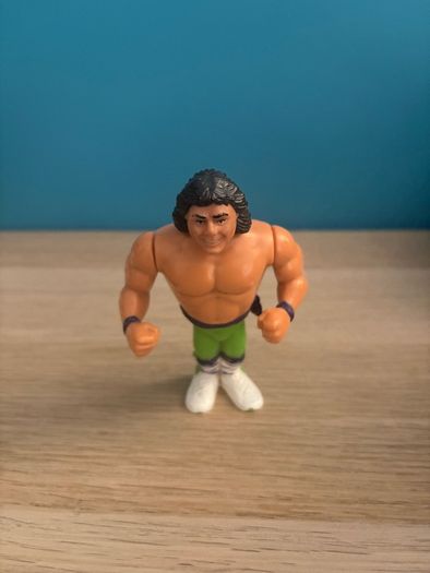 WWF Hasbro Wrestling Figures