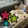 children bed Image 2