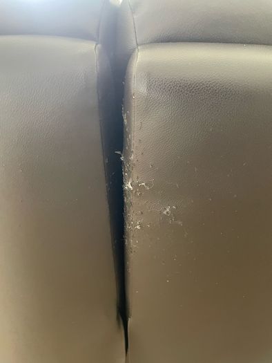 Free Couch