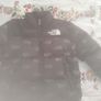 north face Image 3