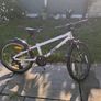 frog bike Image 2