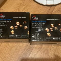 App Controlled Christmas lights