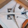 JCWings Boeing 777-200 LR Demonstrator 1/200 Image 3