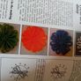 Craft Magazine Collection Image 3
