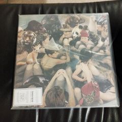 Panda Bear Person Pitch 2lp