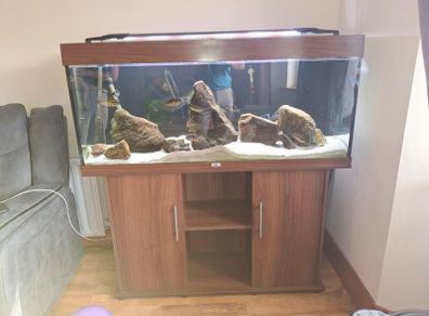 fish