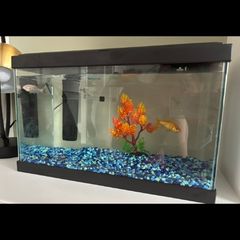 Fish tank