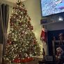 7.5ft Christmas Tree - Pre Lit 1500 lights Image 3