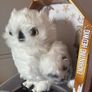 Harry Potter Wizarding World Interactive Hedwig Owl Image 3