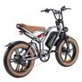 Happyrun Tank G60 Electric Motor CARGO Bike Image 2