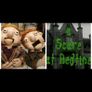 podge and rodge dvd complete box set Image 3