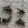 Warhammer Lord of the Rings MESBG Image 8