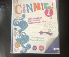 Cinnte 1