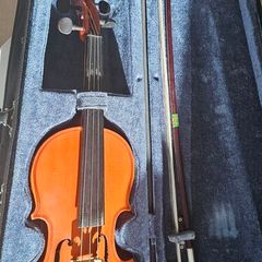 Violin in half size