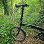 folding bike Image 5