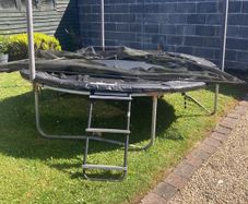 free 8ft plum trampoline