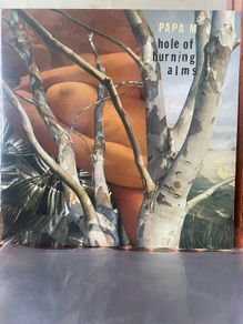 Papa M  (Dave Pajo / Slint / Arial M) - Hole Of Burning Alms