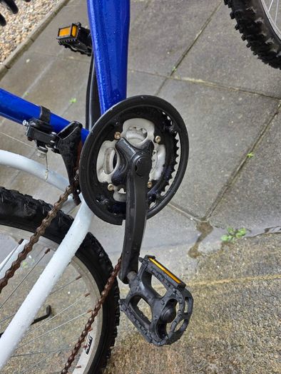 Adult Bike