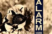 The Alarm   Electric Folklore Live