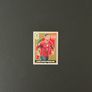 Cristiano Ronaldo Panini extra sticker Gold Image 2