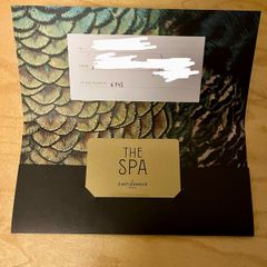 Castleknock Hotel Spa Gift Card Voucher 145