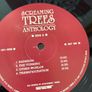 Screaming Trees - Anthology: SST Years (1984-1989) Image 4