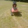 Mounthfield front deck ride on mower Image 7