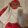 Boys Traditional Red New Year Costume, Warm Winter Chinese Outfit Set Image 5