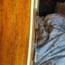 Tangle Wood TD8 MK 3 Nashville Acoustic guitar Image 5