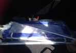 Tomy bed rail
