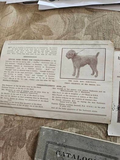 Catalogues Of The 10th & 11th Irish Kennel Club Shows 1931-32. Plus To Stud Cards For Dogs. Paperbacks In Only Fair Condition.  See Photos For Same.