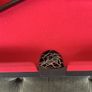 Pool Table Image 5