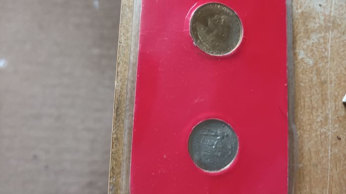pope coins