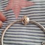 Pandora Image 2