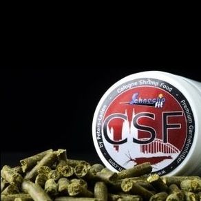 CSF Schnecko 25g