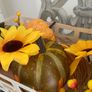ShabbyChic Autumn/Halloween Decor Image 2