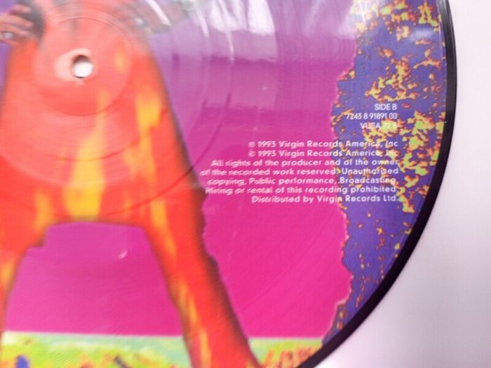 Lenny Kravitz  Believe  10,, Pic Disc 1993
