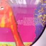 Lenny Kravitz  Believe  10,, Pic Disc 1993 Image 3