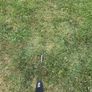 callaway Image 7