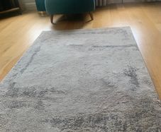 Living room rug