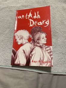 Irish language children's book