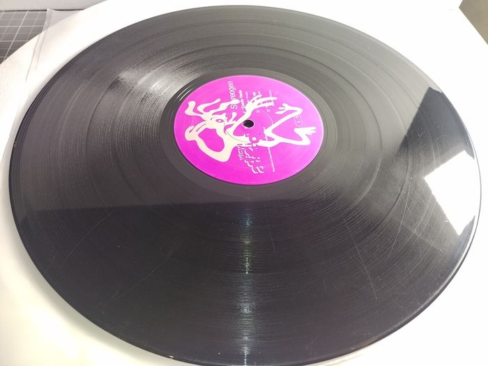 Stereogen - HI-Q + Castle Vania & Burning UP! - Vinyl Addiction Records - MULTIPLE Top QUALITY Early 90s HOUSE Bangers on ONE Vinyl!