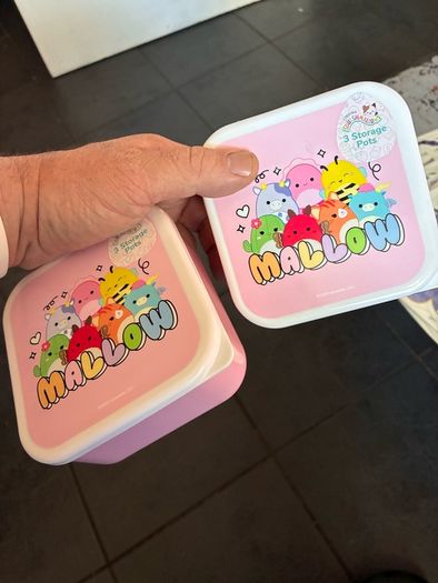 Two set of kids squishmallow lunch boxes