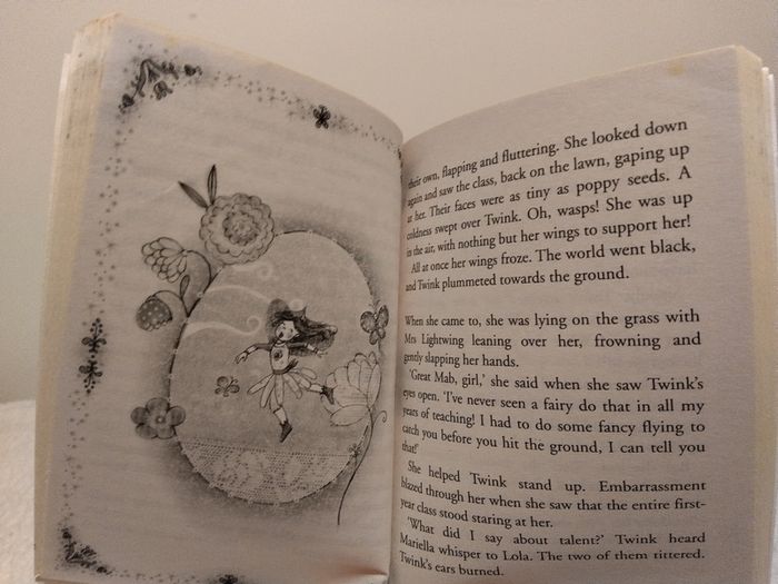 Glitterwings Academy Story Books By Titania Woods