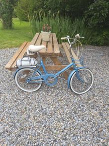 raleigh Saphire
