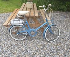 raleigh Saphire