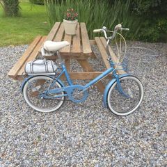 raleigh Saphire