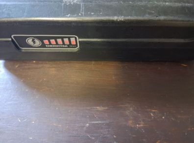 Giant Ease E Engergy pak 300 soare battery